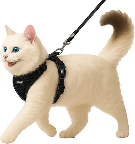 No Pull Cat Harness with Leash,